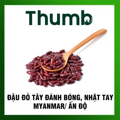 Đậu đỏ tây (Đậu thận)